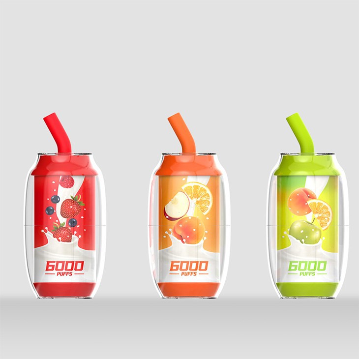 6000 Puffs Disposable Vape Pen